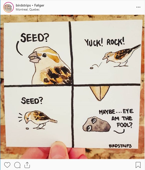 Tegneserie af birdstrips hvor en fugl smider en sten fra sig og stenen i sidste billede er vist med meget realistiske øjne